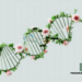 Do Genes Hold the Key to Longevity?