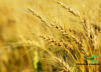 Climate Change Threatens Southern Africa’s Economy