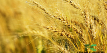 Climate Change Threatens Southern Africa’s Economy