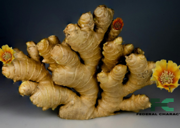 “Ginger Has Some Antibacterial Properties,” Expert Says