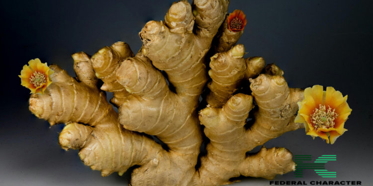 “Ginger Has Some Antibacterial Properties,” Expert Says