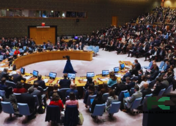 Middle East: UN Calls for Autonomic Investigation Into Palestinians Killed While Waiting for Aid