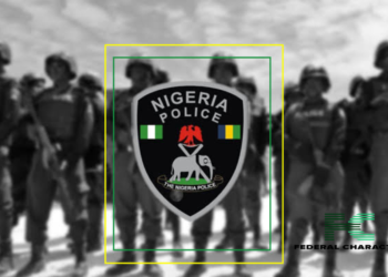 Katsina Police Offer N50 Million Reward to Capture Notorious Bandits