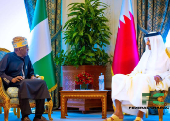 Nigeria and Qatar Sign Deals, Sparking Hope and Debate