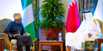Nigeria and Qatar Sign Deals, Sparking Hope and Debate