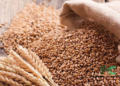 Grains Distribution Initiative Announced by Nigerian Government