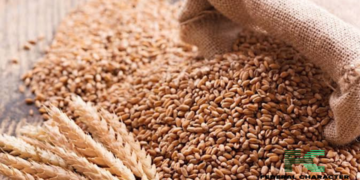 Grains Distribution Initiative Announced by Nigerian Government