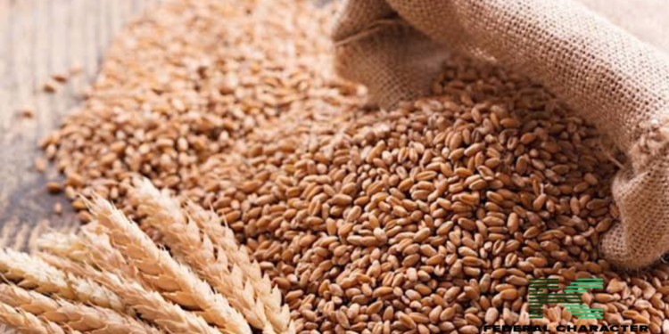 Grains Distribution Initiative Announced by Nigerian Government