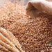 Grains Distribution Initiative Announced by Nigerian Government