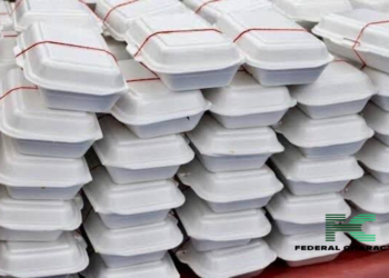 Oyo Follows Lagos’ Lead: Styrofoam Ban Sparks Debate