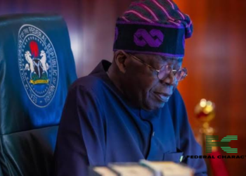 FG rolls out grants for nano businesses