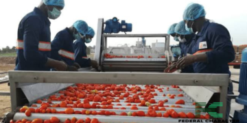 A new hope: GB Foods opens a tomato processing plant in kebbi state