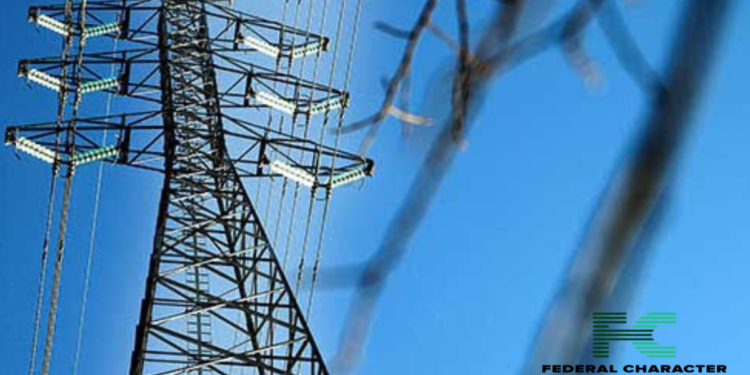 Why Kaduna Electric Workers Are Embarking On Strike