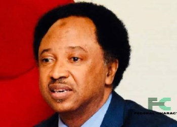 An Explainer Into What Budget Padding Means, And How Lawmakers Indulge In It, According to Senator Shehu Sani
