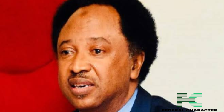 An Explainer Into What Budget Padding Means, And How Lawmakers Indulge In It, According to Senator Shehu Sani