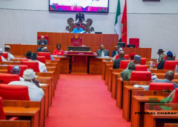 Budget padding: Minister attributes additional funds to constituency projects