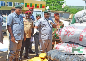 Custom discovered ammunition worth ₦577 million hidden in garri sacks