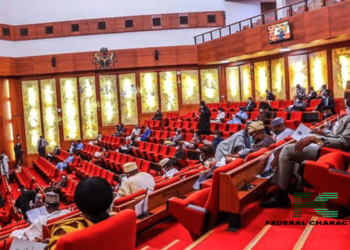 Budget Padding: Premium Times Investigation Reveals Concerning Findings