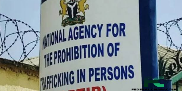 NAPTIP Cautions Nigerians About Employing Underage Housemaids