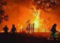 Losses Mount as Bushfire Rages for Third Day in Western Australia