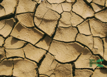 Megadrought in Australia: An Act of God or Human-made Disaster?