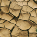 Megadrought in Australia: An Act of God or Human-made Disaster?