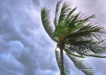 Fatality Reported as Severe Storm Ravages US Gulf Coast