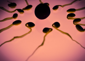 Ovulation Cramps: What They Mean & How to Deal