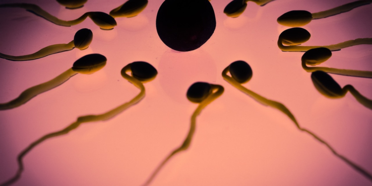 Ovulation Cramps: What They Mean & How to Deal