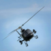 Malaysia: 10 Killed In Mid-Air Helicopter Collision