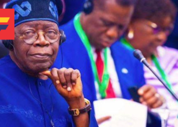 President Tinubu Urges ECOWAS Unity Amidst Emerging Struggles