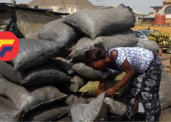 Kwara State Implements Ban on Charcoal Production
