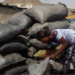 Kwara State Implements Ban on Charcoal Production