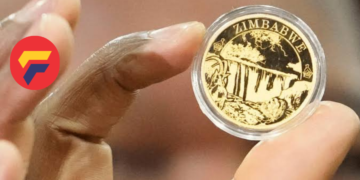 The Introduction of a Gold-Backed Currency in Zimbabwe: Implications