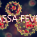Lassa Fever Outbreak: Kogi Government Disproves Rumours