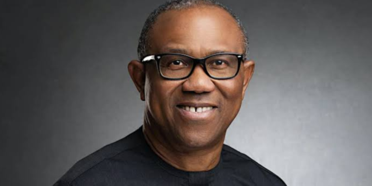 Northern Elders Forum Backs Peter Obi for 2027 Election
