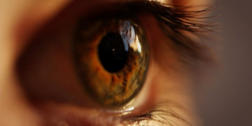 Jaundice in Adults: What Causes Jaundice in Adults?