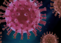 Everything You Need to Know About Clearing HPV Naturally