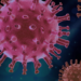Everything You Need to Know About Clearing HPV Naturally