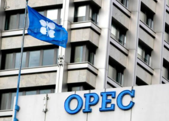 Namibia in Talks with OPEC for Potential Membership