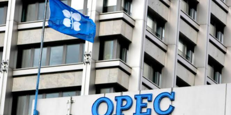 Namibia in Talks with OPEC for Potential Membership