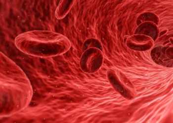 Hemophilia: Types, Symptoms and Treatment