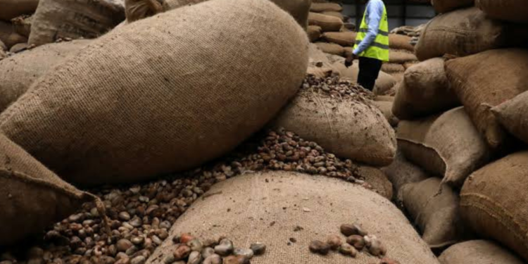 FG trains cashew farmers for cashew export