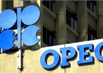 Namibia’s Oil Boom: OPEC Seeks Partnership, Offers Support