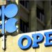 Namibia’s Oil Boom: OPEC Seeks Partnership, Offers Support