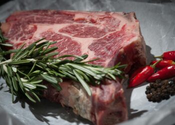 Can Beef Extract as a Replacement for Whole Beef in Meals?