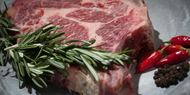 Can Beef Extract as a Replacement for Whole Beef in Meals?