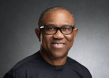 Peter Obi’s Private Visit to Atiku: A Brilliant Move or Calculated Risk?