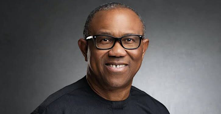 Peter Obi’s Private Visit to Atiku: A Brilliant Move or Calculated Risk?