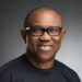 Peter Obi’s Private Visit to Atiku: A Brilliant Move or Calculated Risk?